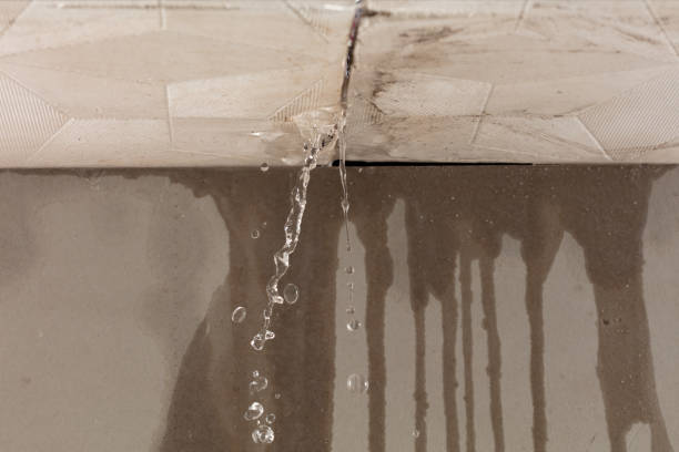 Professional Sewage Cleanup technician working in Telford, TN